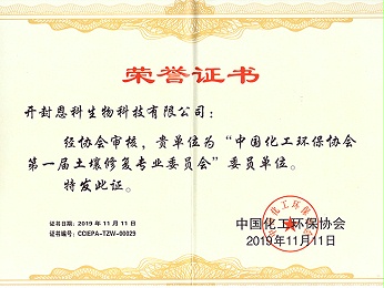 中國化工環(huán)保協(xié)會(huì )榮譽(yù)證書(shū)